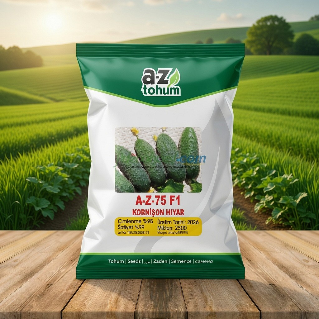 Az 75 F1 Dikenli Kornișon Turșuluk Hıyar Tohumu 