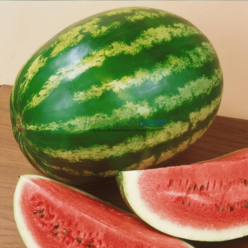 Crimson Sweet Karpuz Fidesi